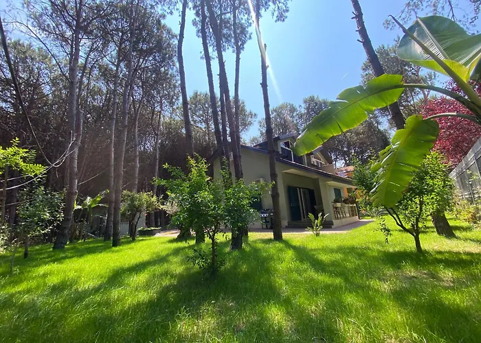 Villa Forest - Middle Of Forest & Near The *