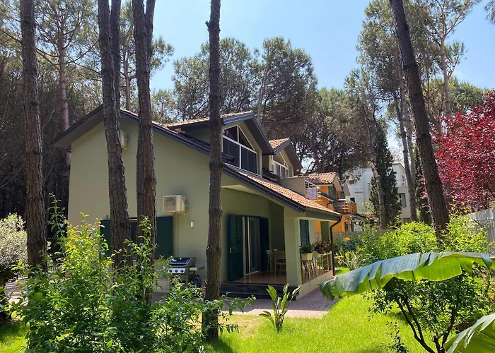 Forest - Middle Of Forest & Near The Golem (Tirana)