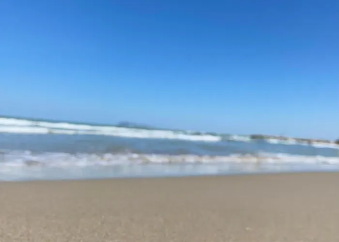 Forest - Middle Of Forest & Near The *