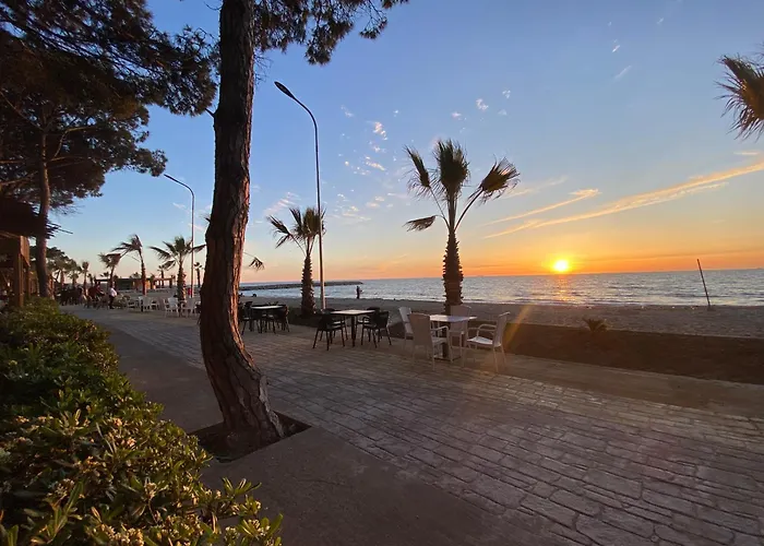Forest - Middle Of Forest & Near The 格勒姆