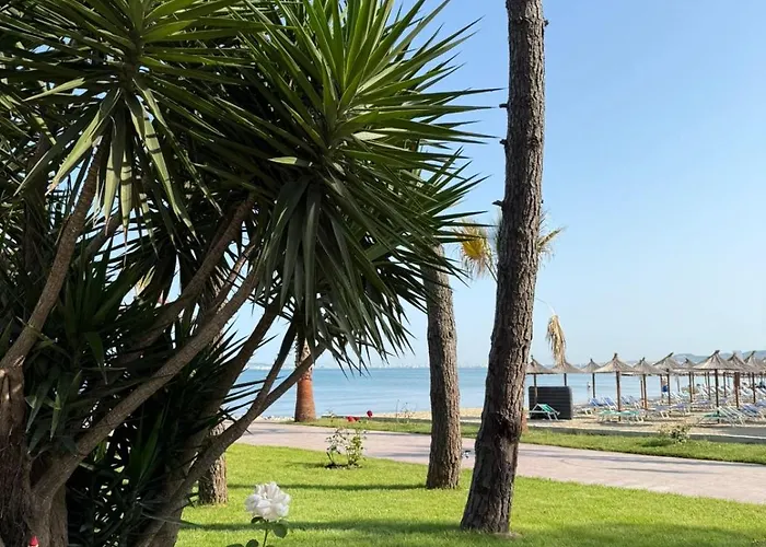 Forest - Middle Of Forest & Near The * 格勒姆