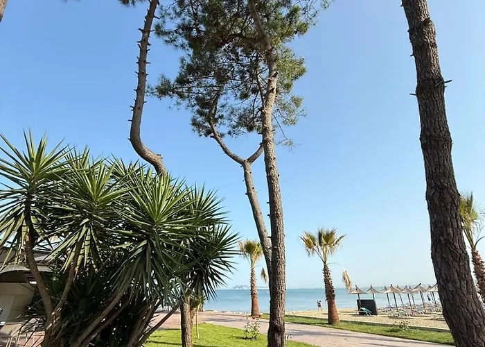 Forest - Middle Of Forest & Near The Villa *