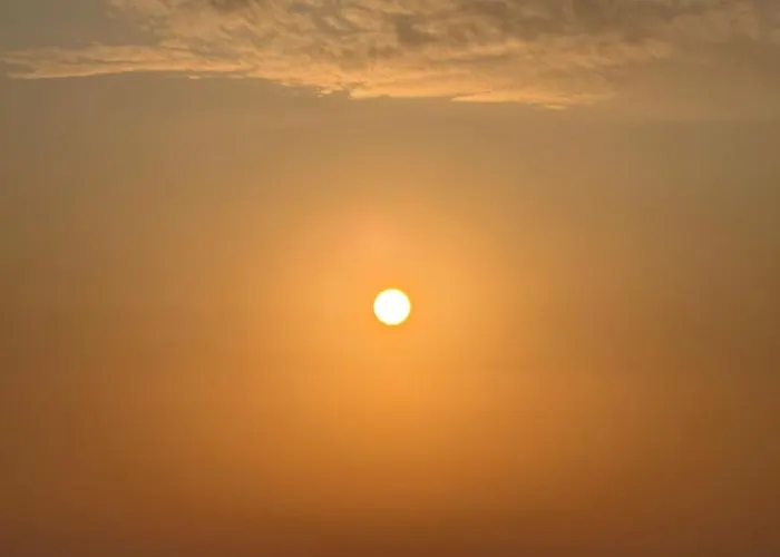 别墅 Forest - Middle Of Forest & Near The *