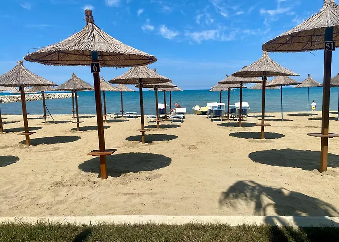 Forest - Middle Of Forest & Near The